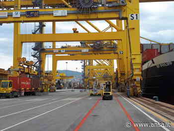 Porti: Trieste, alternativa naturale a corridoio Mar Nero - Agenzia ANSA