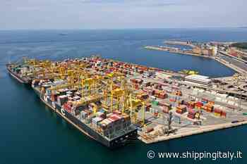 Grandi manovre in corso sul 50% di Trieste Marine Terminal in mano a Maneschi - shippingitaly.it
