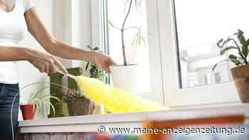 Wie oft sollte man eigentlich in der Wohnung Staub wischen?