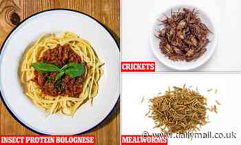 Scientists plan to feed primary school children crickets and mealworms to make the UK greener