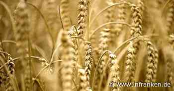 Getreide aus ukrainischem Cherson nach Russland verfrachtet