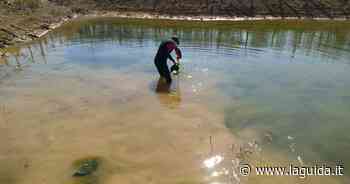 A Fossano si inaugura il Laghetto delle Libellule - La Guida - LaGuida.it