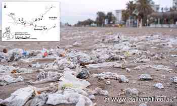 Dirty wet wipes that wash up on British beaches are still teaming with faecal bacteria, study finds