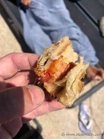 A Hyères, elle croque dans un sandwich et y découvre des vers blancs