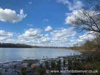 Optimism at Aldenham Reservoir after council talks with owners