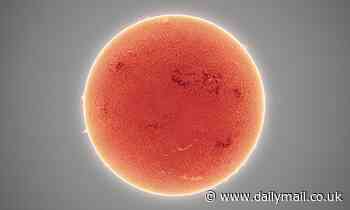 Astrophotographer captures swirling plasma on the surface of the SUN in amazing high-res image