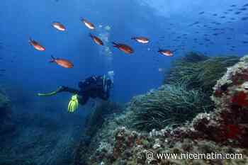 C'est nouveau, à l'hôpital d'Antibes vous pouvez obtenir un certificat de plongée