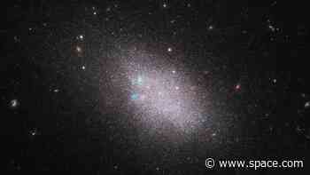 A 'trove' of black hole discoveries emerge from dwarf galaxies