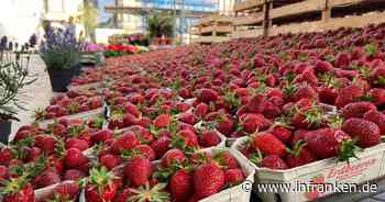 Coburg: Themenwochenmarkt rund um die Erdbeere - Honig, Cocktails und Co.