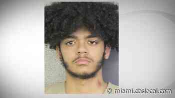 Man faces several charges including pointing laser at BSO aviation unit - CBS Miami