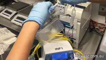 Sydney hospital joins Cynata respiratory trial - The West Australian