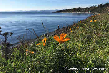 Victoria deemed a world-leading ‘workation’ destination: report