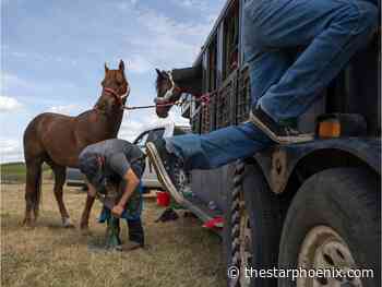 SP photographers Michelle Berg, Matt Smith win national awards for photo and video work