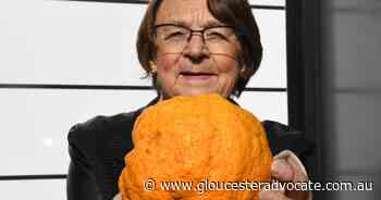 Giant orange found in Wonwondah, Victoria - Gloucester Advocate