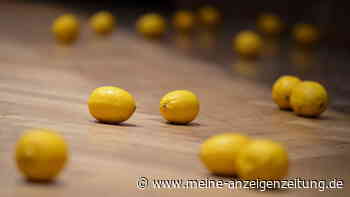 Hausmittel Zitrone kann viele Produkte im Haushalt ersetzen