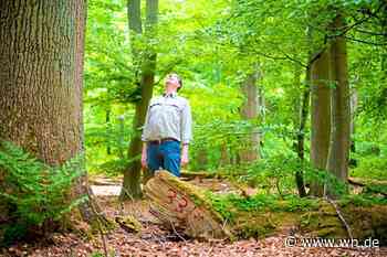 Was Waldbauern vom Urwald im Münsterland lernen können