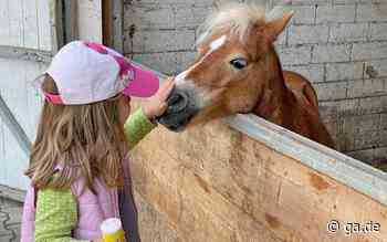 Pecher Tierscheune ist jetzt „Mein Ponyhof“ in Swisttal​ - General-Anzeiger Bonn