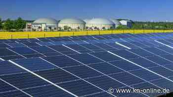 Rechnungshof: EU hat Ausgaben-Ziel für Klimaschutz deutlich verfehlt