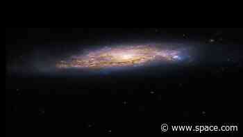 These star-forming spirals look like galactic UFOs