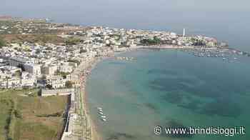Rapina violenta, i banditi sparano, tre persone ferite - BrindisiOggi
