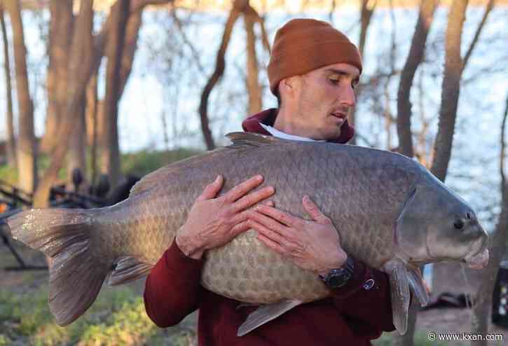 Man catches record breaking 64-pound fish on Lady Bird Lake
