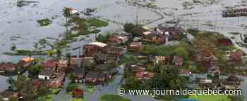Coulée de boue au Brésil: «je ne dors plus, je ne mange plus», dit une rescapée