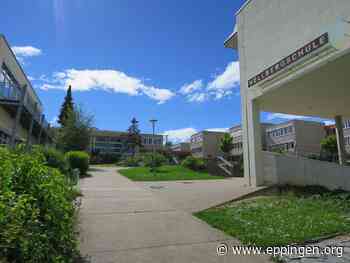 ▷ Der SpoSpiTo-Bewegungs-Pass regt zum Laufen an - Eppingen.org