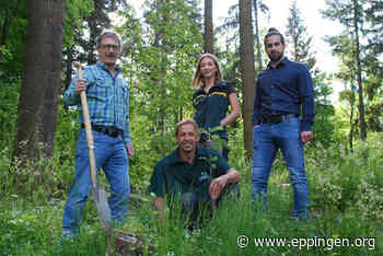 ▷ 800 Bäume vom HNV - Eppingen.org