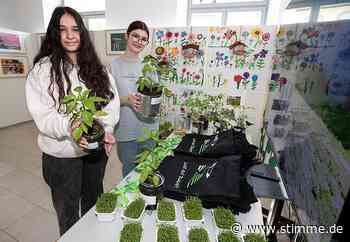 Großes Themenangebot auf der Gartenschau in Eppingen: Von Sternenwarte bis Finanzamt - Heilbronner Stimme