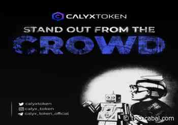 Ethereum (ETH) and 2 More Coins Built on It: Calyx Token (CLX) and Cardano (ADA) - TechCabal