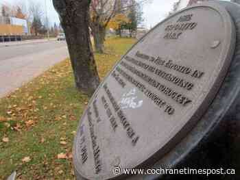 Open house to view Hub Trail boardwalk changes scheduled - Cochrane Times Post