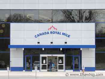 Kingston milk plant not yet able to produce infant formula - The Kingston Whig-Standard