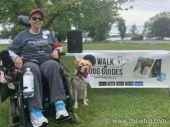Walk raises support for dog guides program in Kingston - The Kingston Whig-Standard