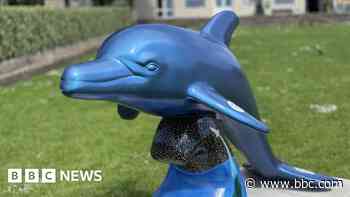 Colourful dolphins appear on Isle of Man as charity art trail begins - BBC