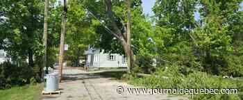 Tempête: moins de 1000 clients à rétablir