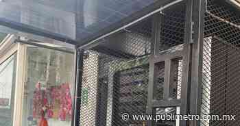 ¿En dónde venden en Monterrey los productos derivados del cannabidiol? - Publimetro México