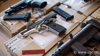 Government tables bill to cap handguns, pledges to buy back assault weapons