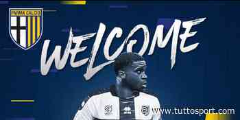 Parma, dal Lille arriva Buayi-Kiala - Tuttosport