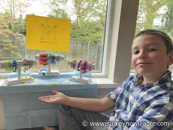 9-year-old South Surrey entrepreneur raises money for Ukraine relief – Surrey Now-Leader - Surrey Now Leader