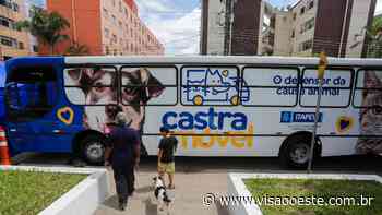 Inscrições abertas para castração de pets em Itapevi - Visão Oeste