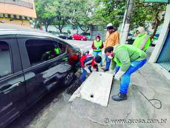 De janeiro a maio deste ano, Osasco, Cotia, Itapevi e Jandira contabilizaram mais de 620 escorpiões capturados - Giro S/A