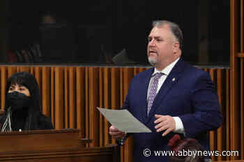 Pressure mounts for Liberals to back bill decriminalizing drug use