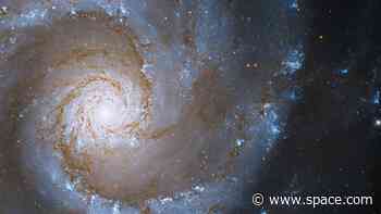 Spectacular Hubble image captures 'grand spiral' galaxy