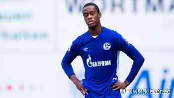 "Für Kreativität sorgen": Steinbach Haiger holt Tehe - kicker