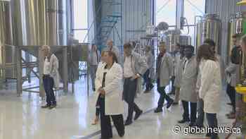 Pea protein company puts down roots with new Lethbridge facility