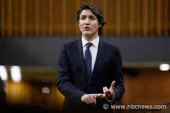 Canadian prime minister proposes ‘national freeze’ on handgun sales