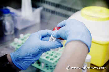 Monkeypox won't turn into pandemic, WHO says