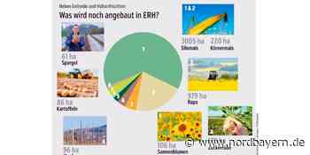 Was Sie vielleicht noch nicht über die Landwirtschaft in ERH und Erlangen wussten - Nordbayern.de