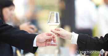 Matelica, nuova edizione Cantine Aperte: degustazione del Verdicchio in 5 aziende locali - Picchio News