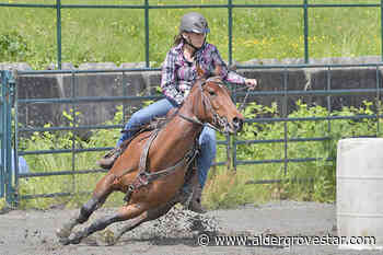Rodeo comes to Langley for Labour Day weekend – Aldergrove Star - Aldergrove Star